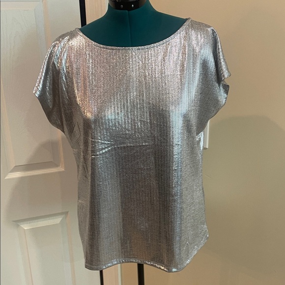 Silverskylight Tops - Shimmering Silver Short Sleeve Blouse 1X
